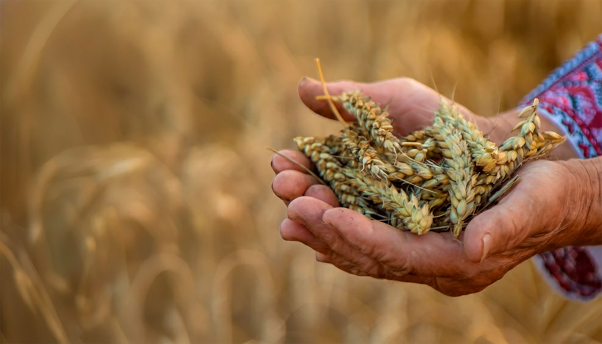 Resumen de Logros 2024